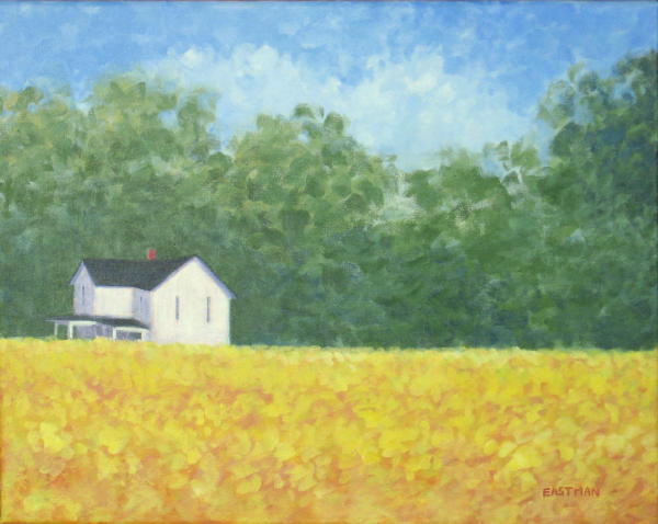 White Farmhouse with Gold Field.20x16.JPG